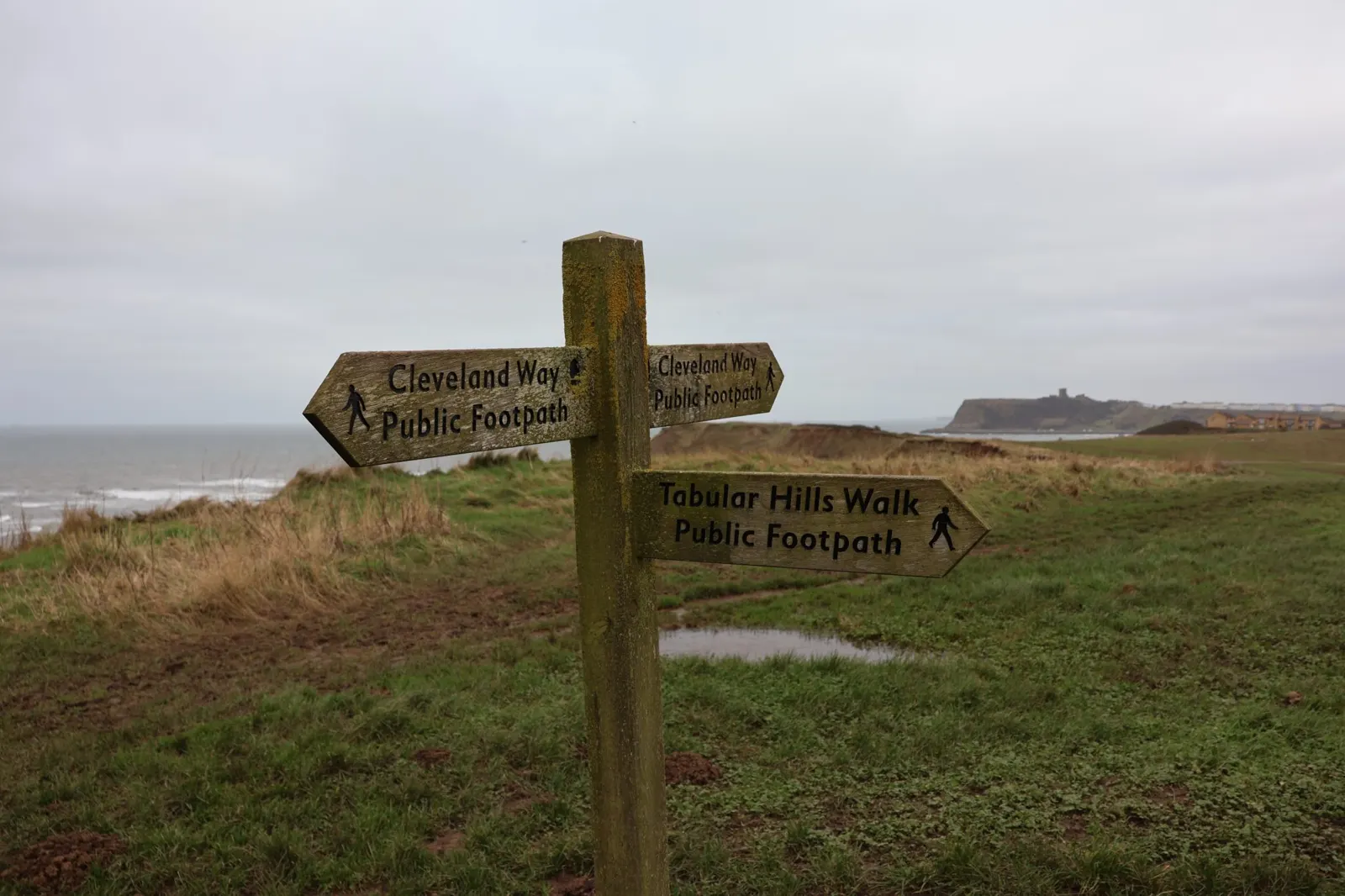 A wooden signpost pointing in different directions